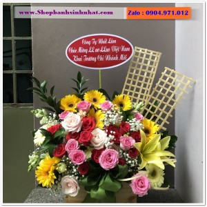 Hoa Tươi Tặng Khai Trương - OK62